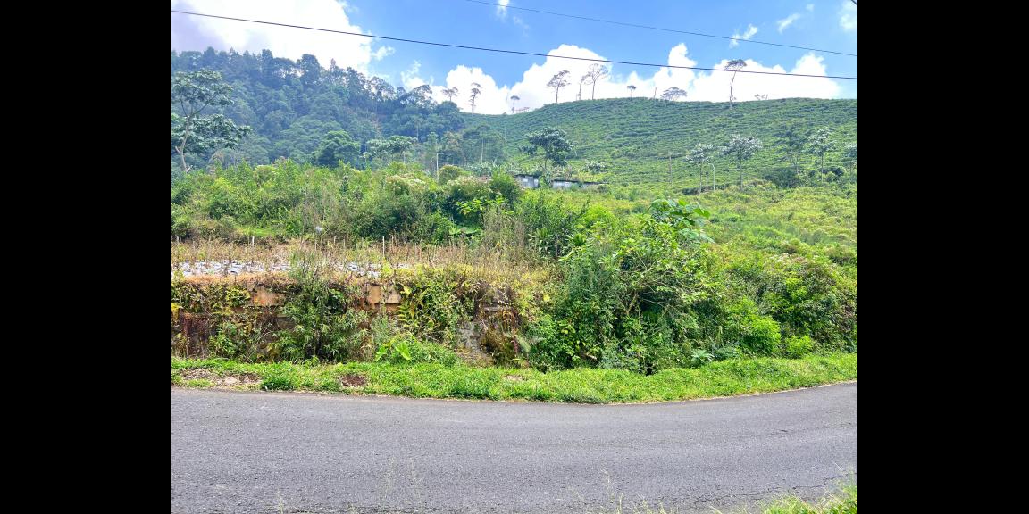 Strategis Tepi Jl Raya 498m View Kebun Teh Kemuning Strategis Tepi Jl Raya 498m View Kebun Teh Kemuning