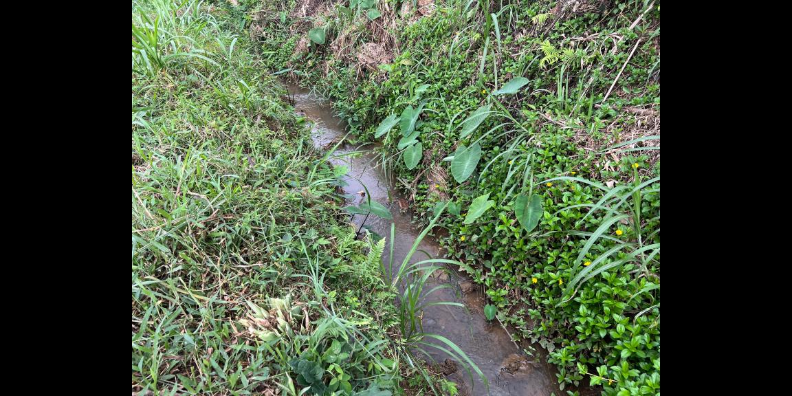 Tanah Subur 1000m² 300 Juta Karangpandan Tanah Subur 1000m² 300 Juta Karangpandan