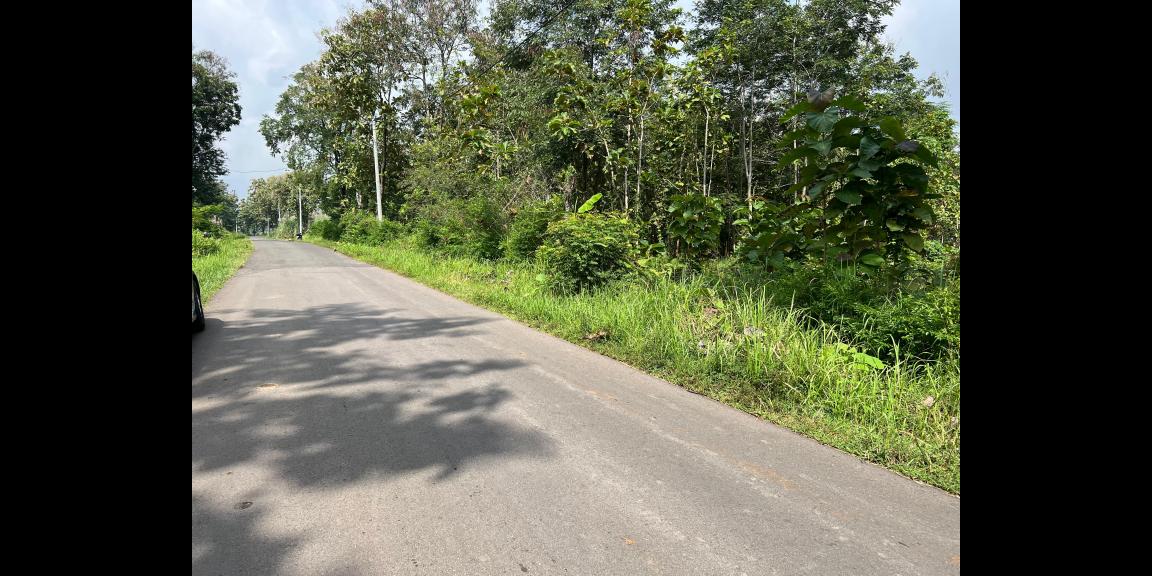 Tanah Datar Untuk Gudang 1000m² Tepi Jl Raya Kerjo – Sragen Tanah Datar Untuk Gudang 1000m² Tepi Jl Raya Kerjo – Sragen