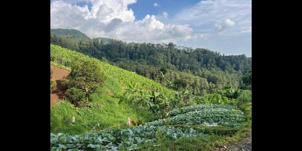 Tanah Kawasan Wisata Tawangmangu 1150m 600Jt Tanah Kawasan Wisata Tawangmangu 1150m 600Jt