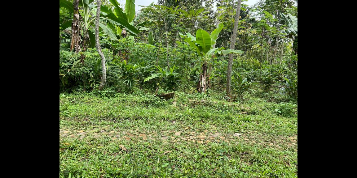 Tanah Datar Murah 500m 175Jt Jenawi Karanganyar Tanah Datar Murah 500m 175Jt Jenawi Karanganyar