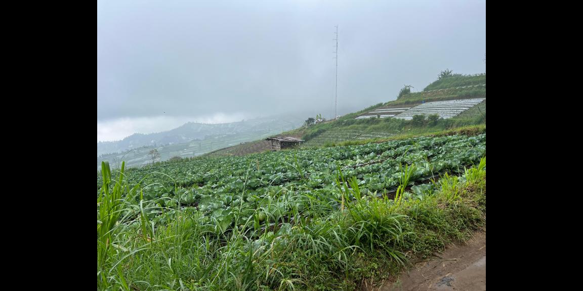 Tanah Wisata Kemuning 1000m View Istimewa Tanah Wisata Kemuning 1000m View Istimewa