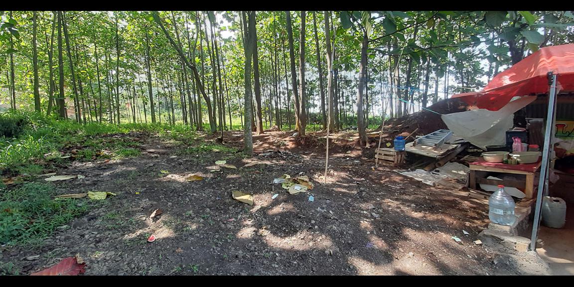 TANAH KOMERSIAL MAIN ROAD RAYA BATUJAJAR BANDUNG BARAT TANAH KOMERSIAL MAIN ROAD RAYA BATUJAJAR BANDUNG BARAT