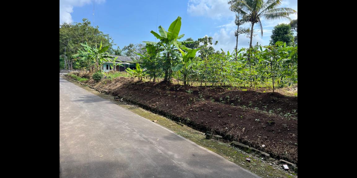 Tanah Super Datar HOOK 1302m Utara Koramil Kerjo, Karanganyar Tanah Super Datar HOOK 1302m Utara Koramil Kerjo, Karanganyar