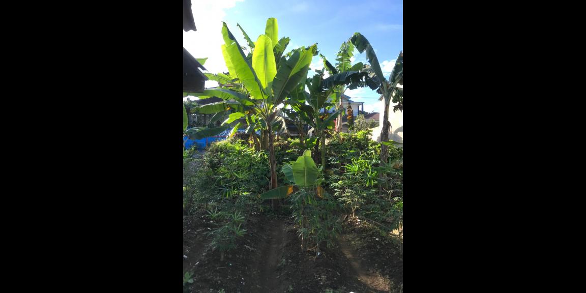 Tanah Strategis 152m² View Gunung Lawu Tawangmangu Tanah Strategis 152m² View Gunung Lawu Tawangmangu