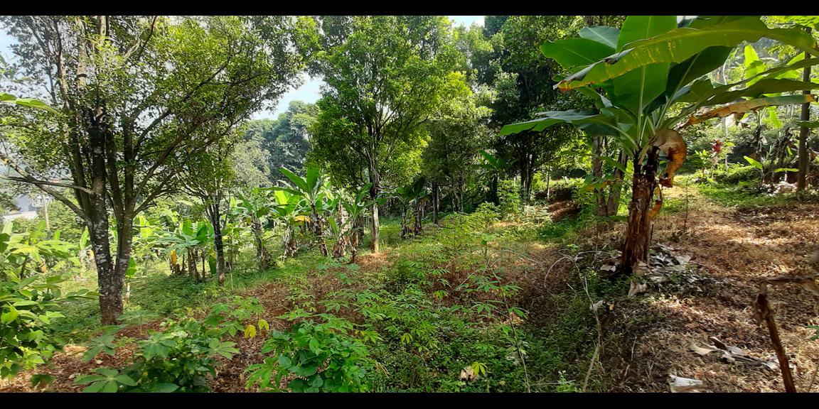 TANAH KOMERSIAL MAIN ROAD ARCAMANIK SINDANGLAYA BANDUNG TANAH KOMERSIAL MAIN ROAD ARCAMANIK SINDANGLAYA BANDUNG