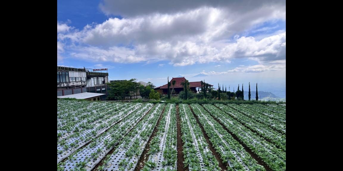 Tanah Pondasi 1010m² Cocok untuk Bangun Villa Wisata  Tanah Pondasi 1010m² Cocok untuk Bangun Villa Wisata