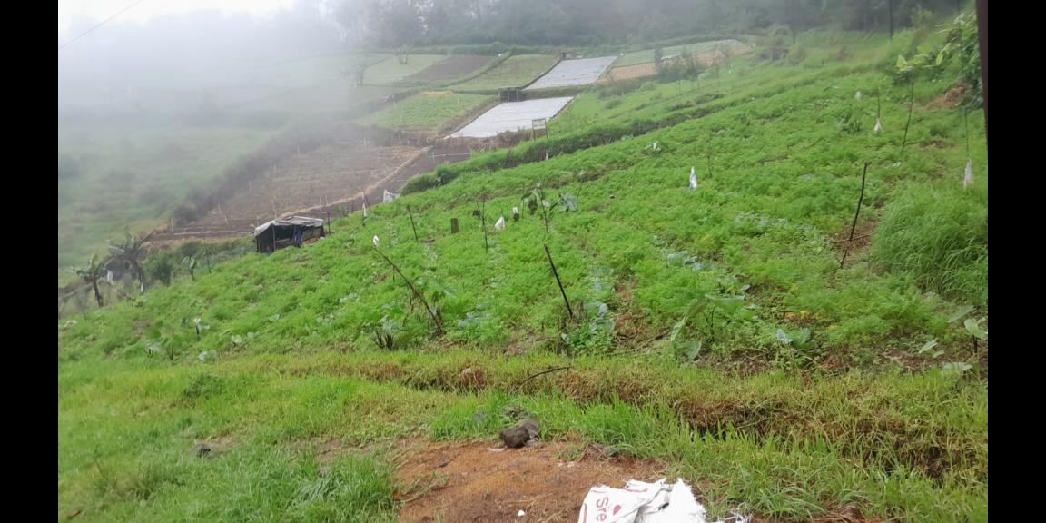 Tanah 825m² Strategis Tepi Jl Tawangmangu Karanganyar Tanah 825m² Strategis Tepi Jl Tawangmangu Karanganyar