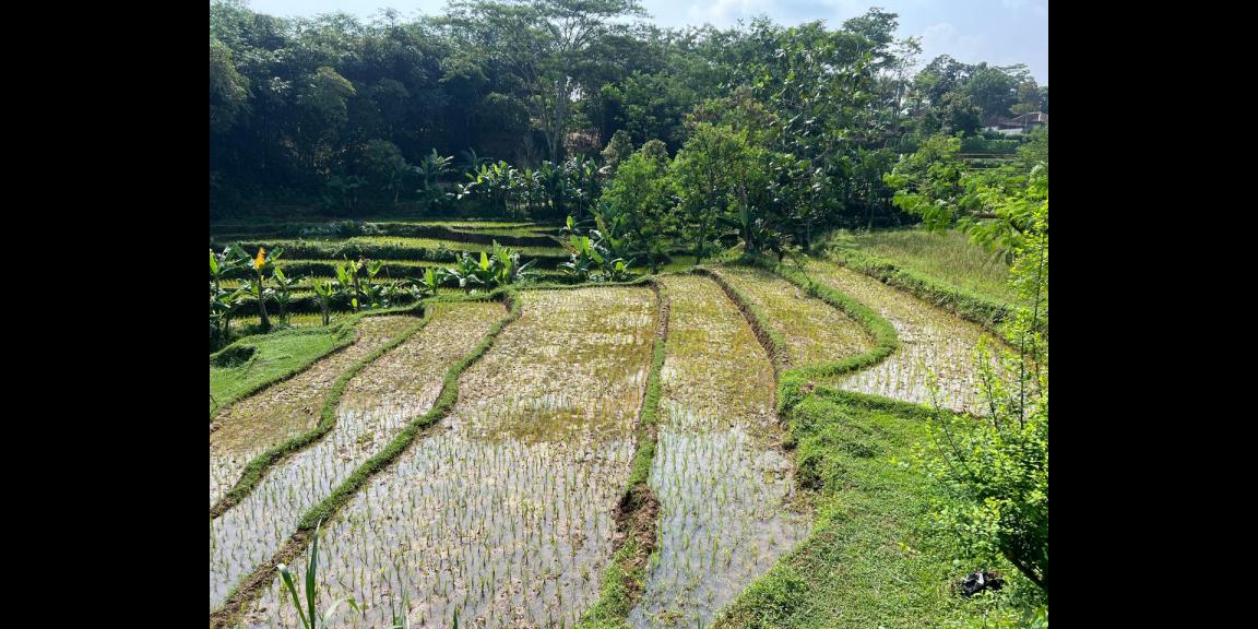 Tanah Subur 4000m² Udara Dingin Karangpandan Tanah Subur 4000m² Udara Dingin Karangpandan