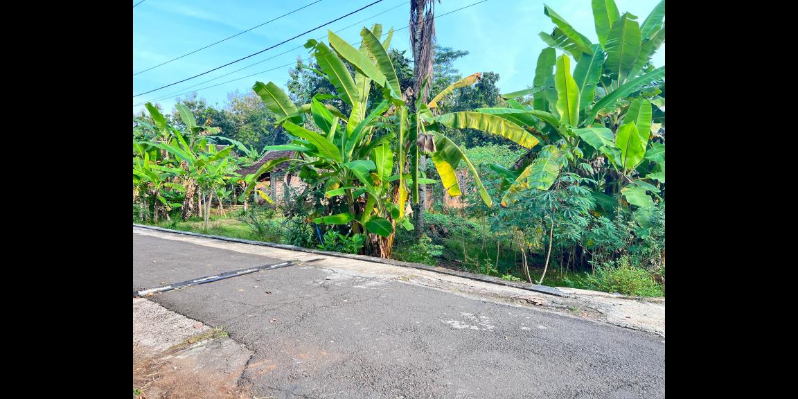 Tanah 2050m² Siap Bangun Utara Pasar Mojogedang Tanah 2050m² Siap Bangun Utara Pasar Mojogedang