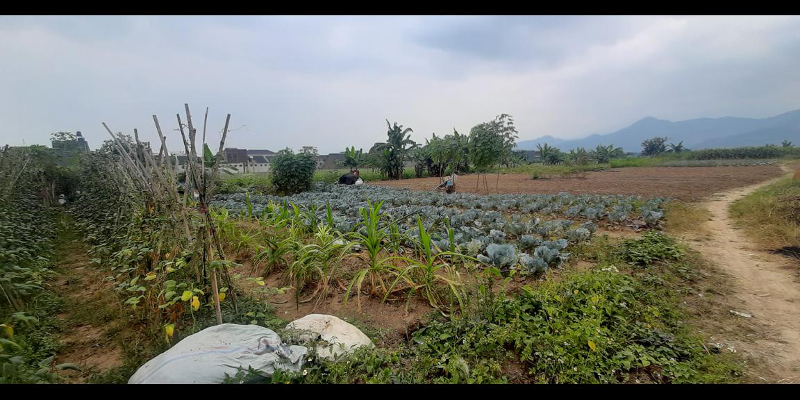TANAH UNTUK PERUMAHAN DEKAT PODOMORO PARK BUAH BATU BANDUNG TANAH UNTUK PERUMAHAN DEKAT PODOMORO PARK BUAH BATU BANDUNG