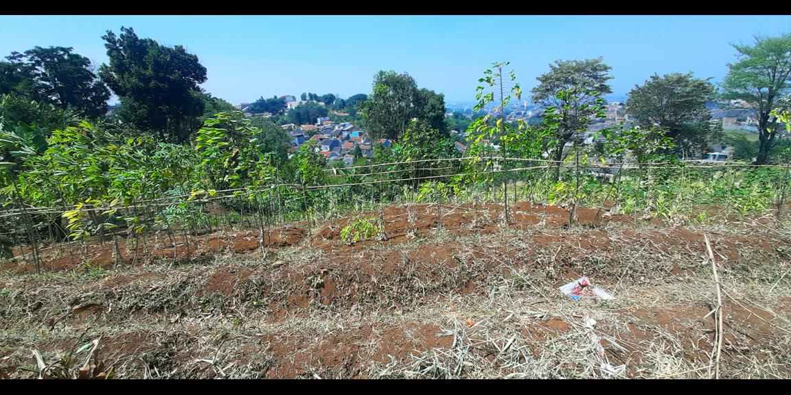 TANAH HUNIAN VIEW KOTA BANDUNG DI PASIR IMPUN BANDUNG TANAH HUNIAN VIEW KOTA BANDUNG DI PASIR IMPUN BANDUNG