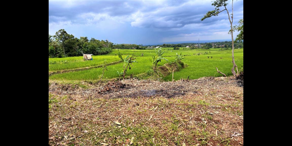 Tanah Strategis 150 Juta Kerjo Karanganyar Tanah Strategis 150 Juta Kerjo Karanganyar