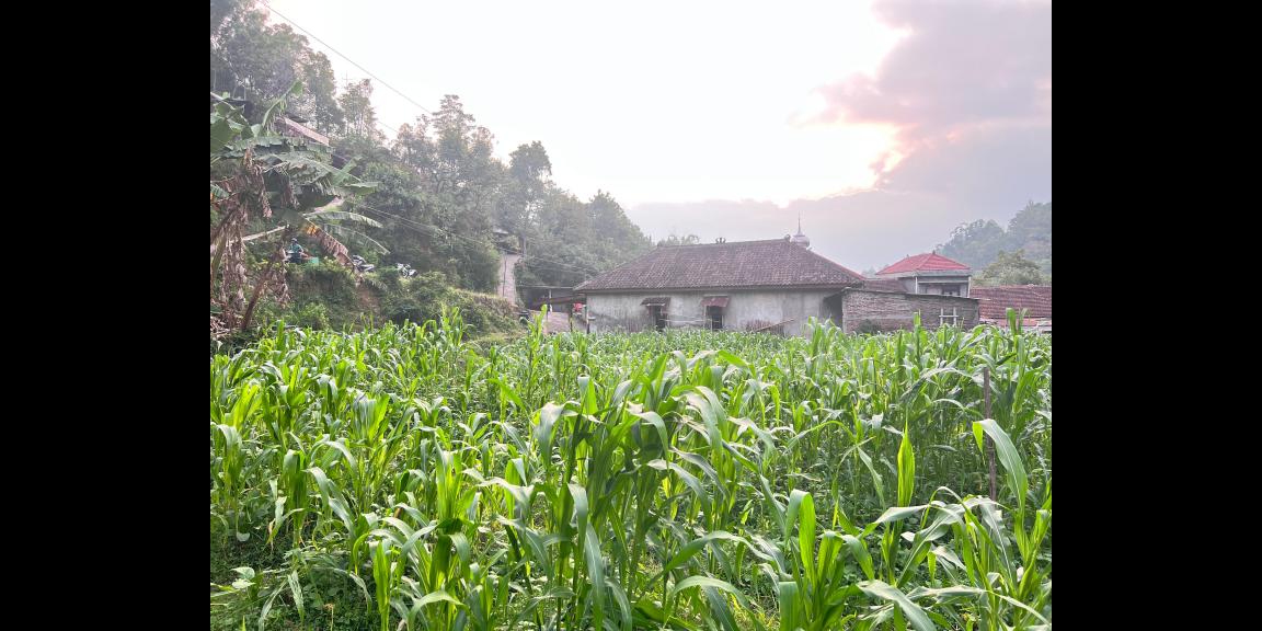 Tanah Strategis 1200 Timur Isykarima Tawangmangu Karanganyar Tanah Strategis 1200 Timur Isykarima Tawangmangu Karanganyar