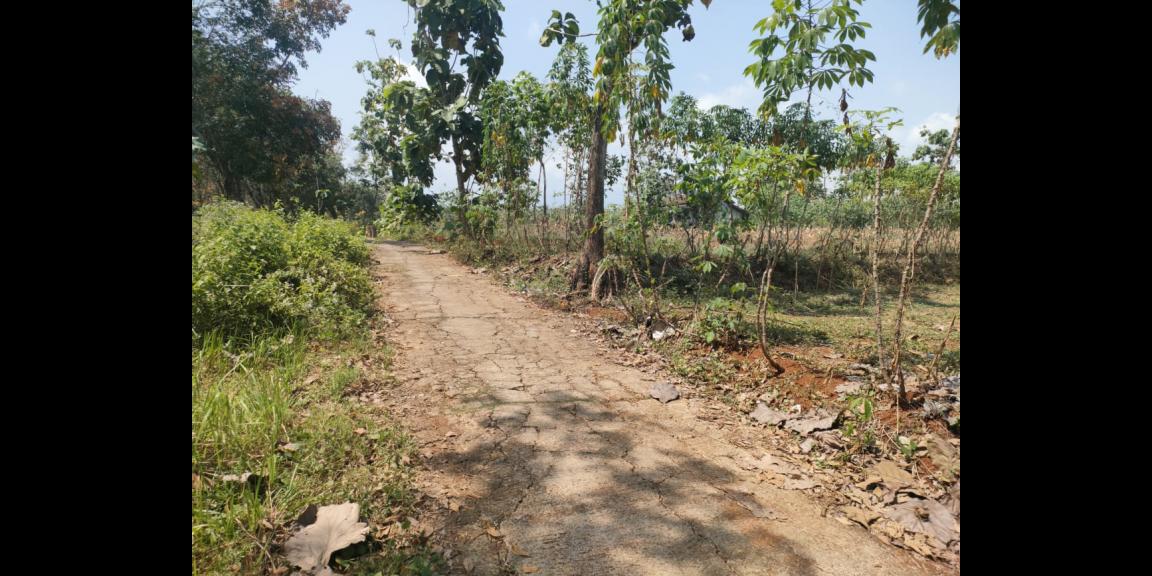 Tanah Murah 1198m² Hanya 100 Juta Karanganyar Tanah Murah 1198m² Hanya 100 Juta Karanganyar