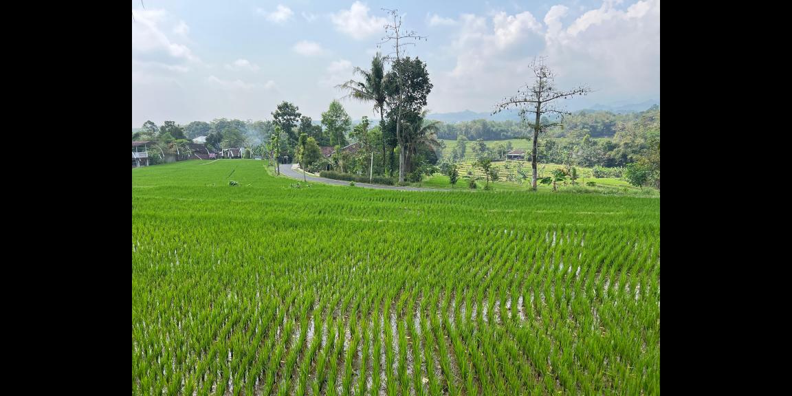 Tanah Datar 600m Timur Kecamatan Kerjo, Karanganyar Tanah Datar 600m Timur Kecamatan Kerjo, Karanganyar