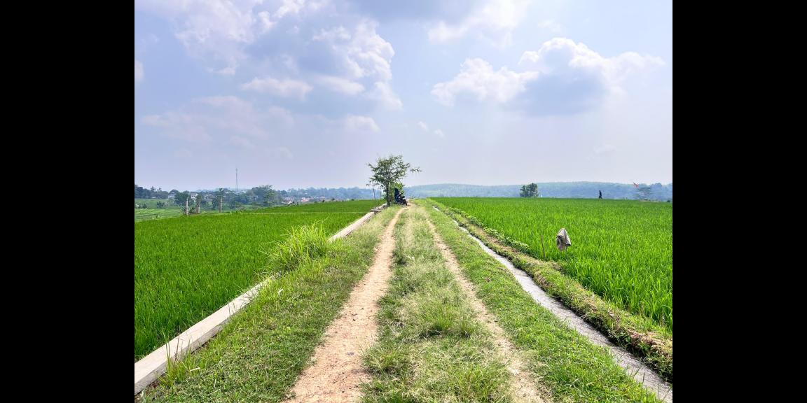 Tanah View Gunung Lawu 1000m Karanganyar Utara Tanah View Gunung Lawu 1000m Karanganyar Utara