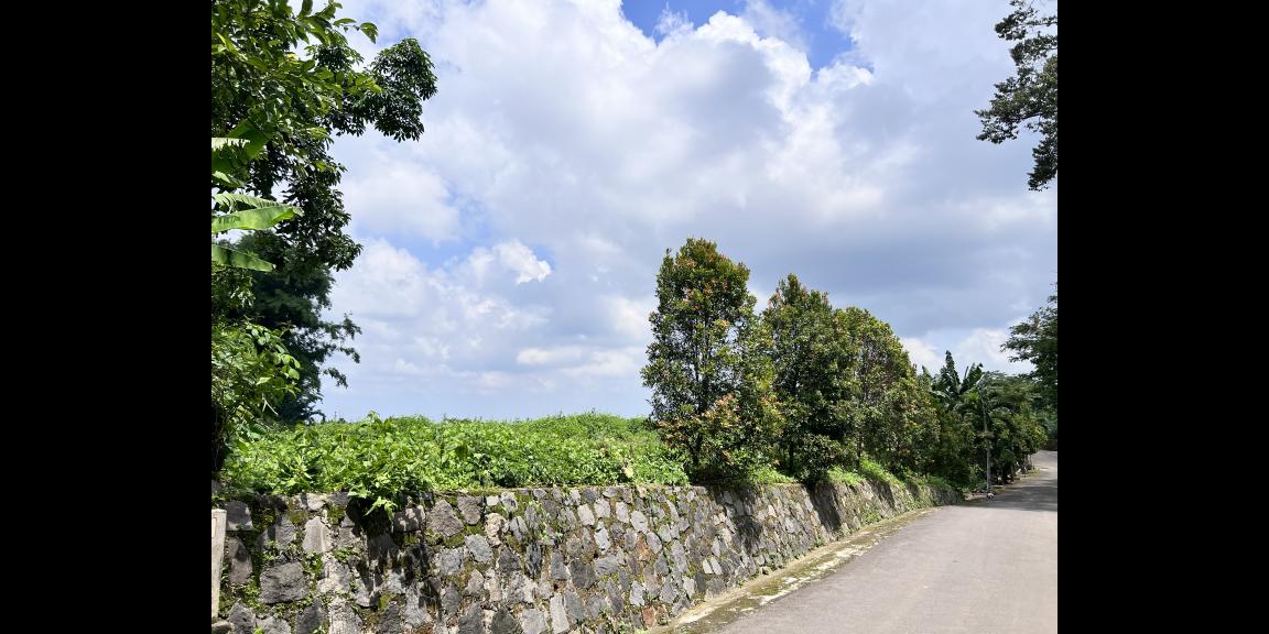 Rumah Siap Huni Bonus Kebun Durian Karanganyar  Rumah Siap Huni Bonus Kebun Durian Karanganyar