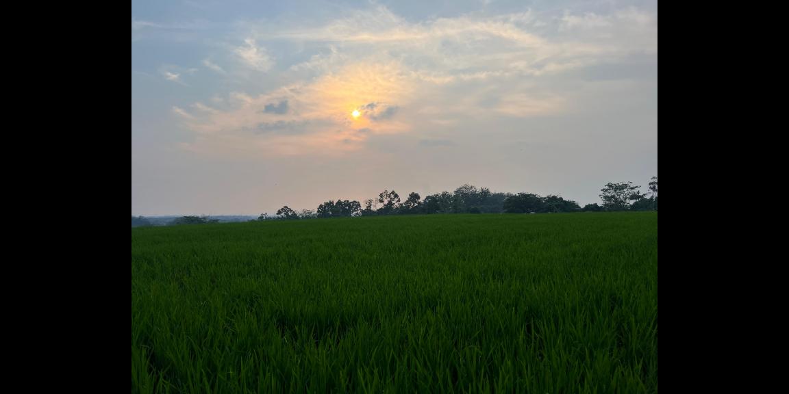 Tanah Bonus Rumah 846m² Strategis Tepi Jl Raya Kerjo Karanganyar Tanah Bonus Rumah 846m² Strategis Tepi Jl Raya Kerjo Karanganyar