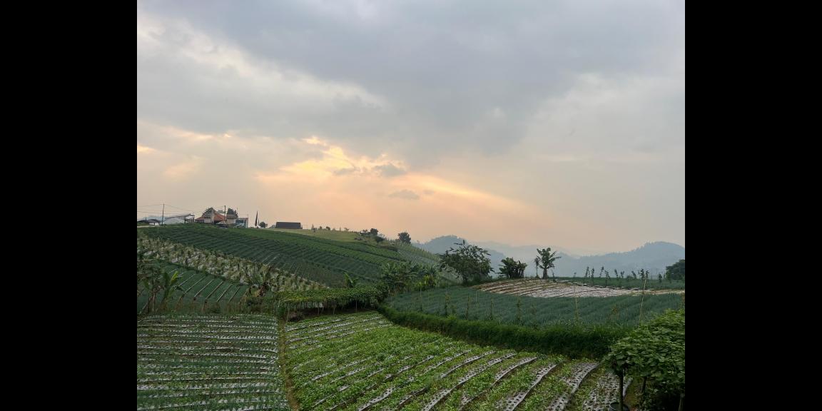 Tanah 480m² View Tanpa Halang Cocok Untuk Villa Kemuning Tanah 480m² View Tanpa Halang Cocok Untuk Villa Kemuning