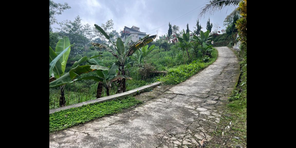 Tanah 1300m² Dekat Sungai Wisata River Tubing Ngargoyoso Tanah 1300m² Dekat Sungai Wisata River Tubing Ngargoyoso