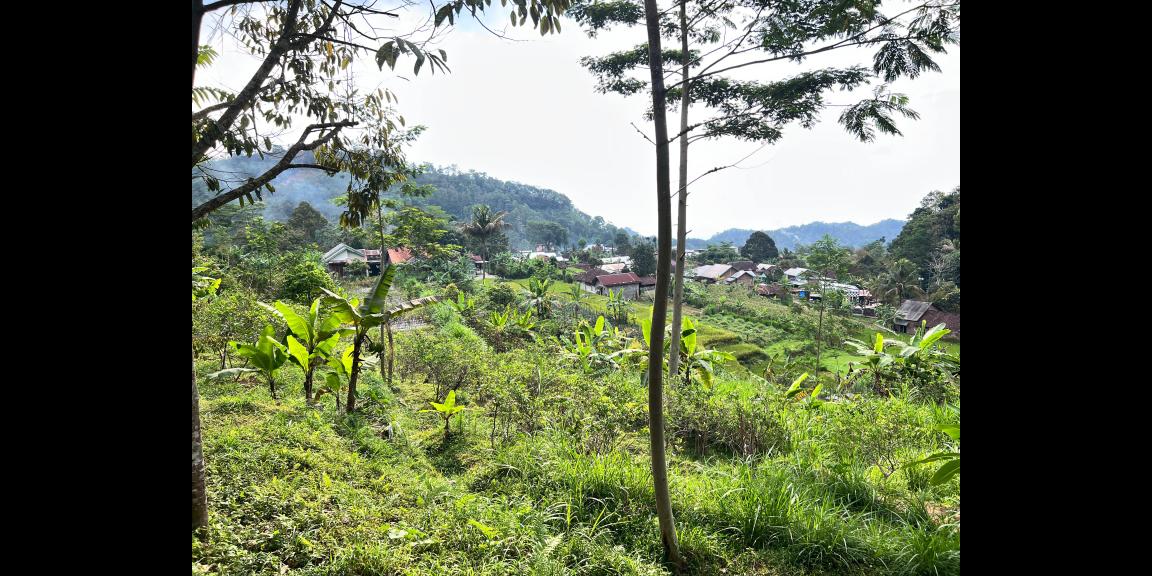 Tanah View Perbukitan 539m Utara Candi Cetho Karanganyar Tanah View Perbukitan 539m Utara Candi Cetho Karanganyar