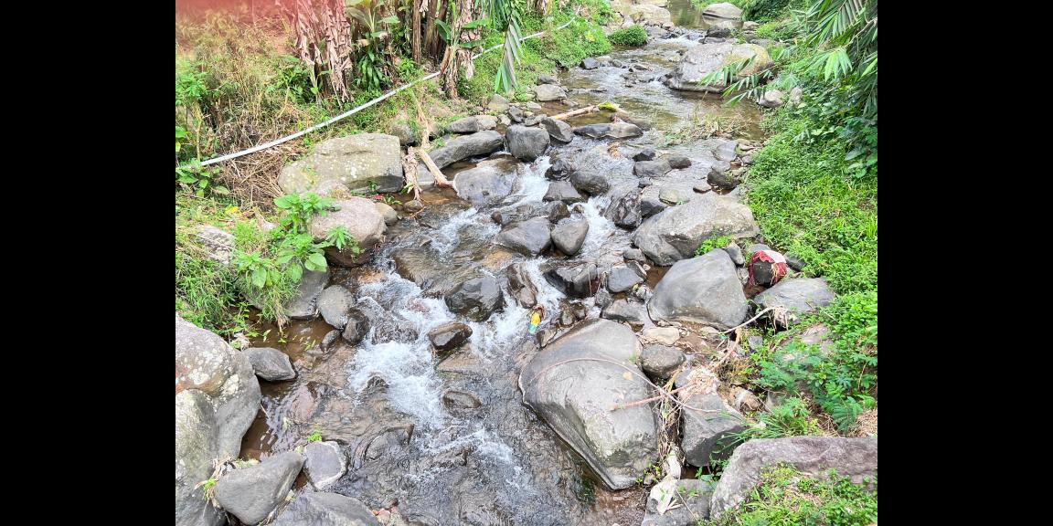 Tanah Istimewa 1721m Dekat Sungai Candi Cetho Karanganyar Tanah Istimewa 1721m Dekat Sungai Candi Cetho Karanganyar