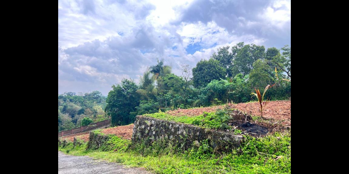 Tanah 1,2 Hektar Strategis Dekat Pasar Karangpandan Tanah 1,2 Hektar Strategis Dekat Pasar Karangpandan