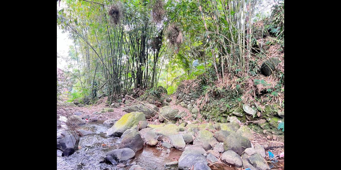 Tanah 2 Hektar Dekat Aliran Sungai Karanganyar Tanah 2 Hektar Dekat Aliran Sungai Karanganyar