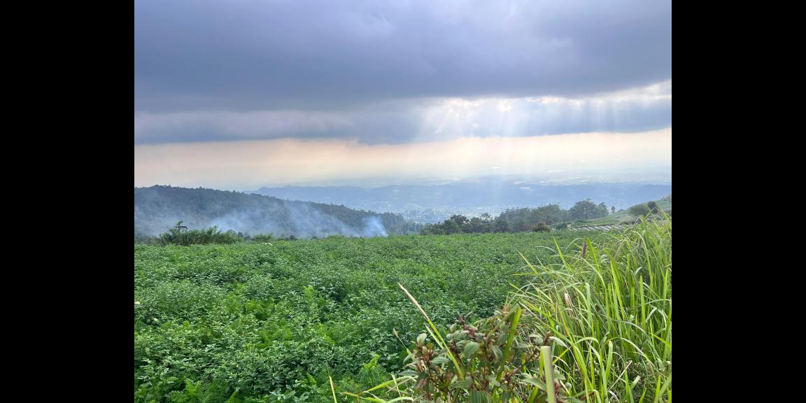 Tanah Datar Kawasan Wisata 650m Kemuning Karanganyar Tanah Datar Kawasan Wisata 650m Kemuning Karanganyar