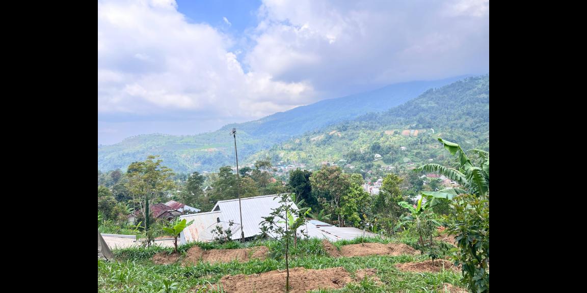 Tanah Cantik 7000m Utara Candi Cetho Karanganyar, Solo Tanah Cantik 7000m Utara Candi Cetho Karanganyar, Solo