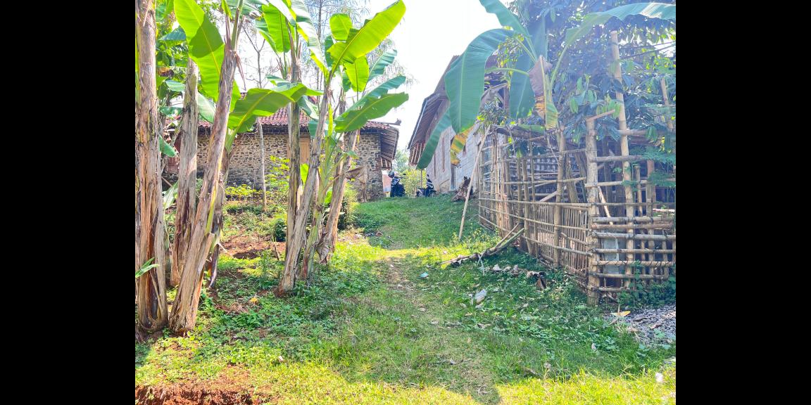 Kebun Durian 1000m² Bonus Bangunan Karanganyar Kebun Durian 1000m² Bonus Bangunan Karanganyar