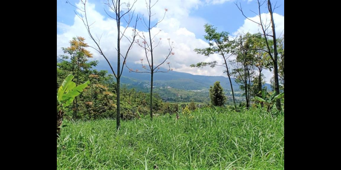 DIJUAL TANAH 200m2 KEMUNING NGARGOYOSO KARANGANYAR DIJUAL TANAH 200m2 KEMUNING NGARGOYOSO KARANGANYAR