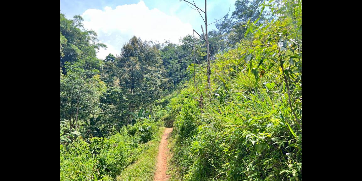 Tanah Istimewa 1 Hektar 500Juta Utara Candi Cetho Karanganyar Tanah Istimewa 1 Hektar 500Juta Utara Candi Cetho Karanganyar