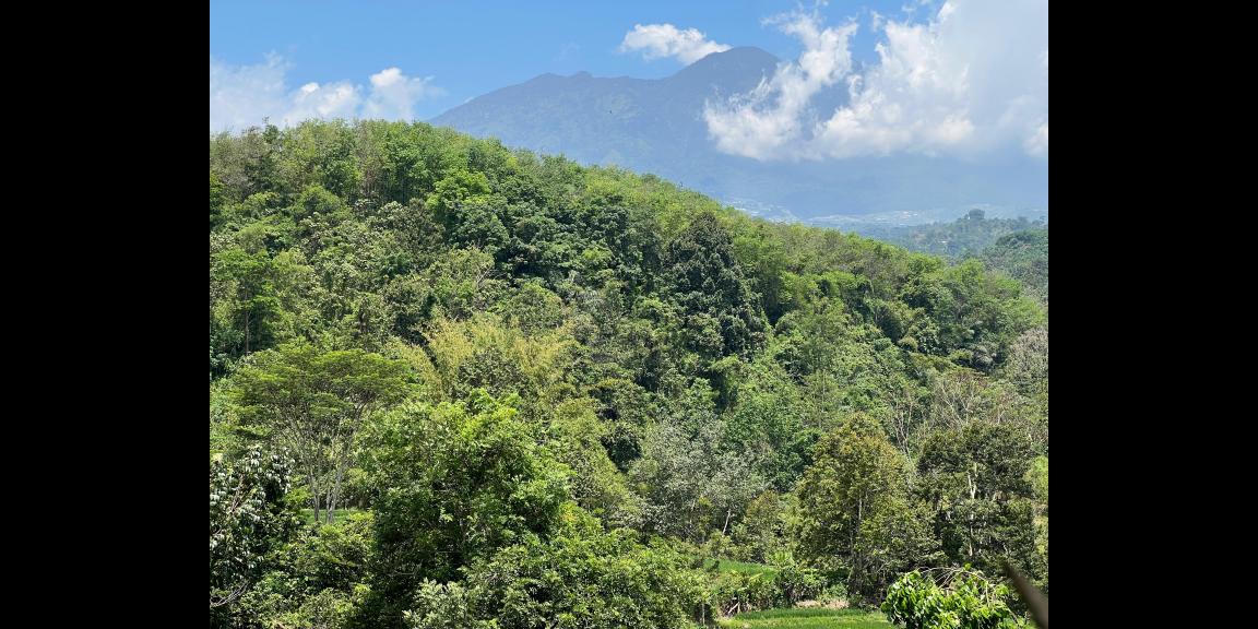 Tanah 82rb/m View Gunung Lawu Karanganyar Tanah 82rb/m View Gunung Lawu Karanganyar