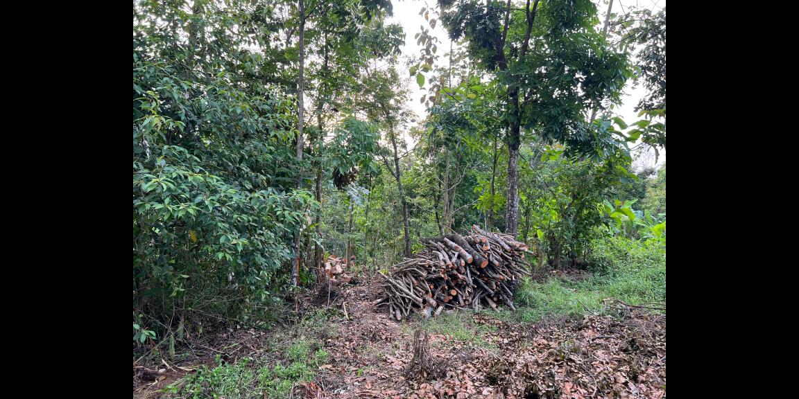 Tanah 1355m² 300 Juta Utara Pasar Matesih Karanganyar Tanah 1355m² 300 Juta Utara Pasar Matesih Karanganyar