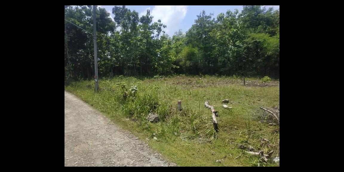 Tanah 85 Juta Dekat Pasar Gemolong Sragen Tanah 85 Juta Dekat Pasar Gemolong Sragen