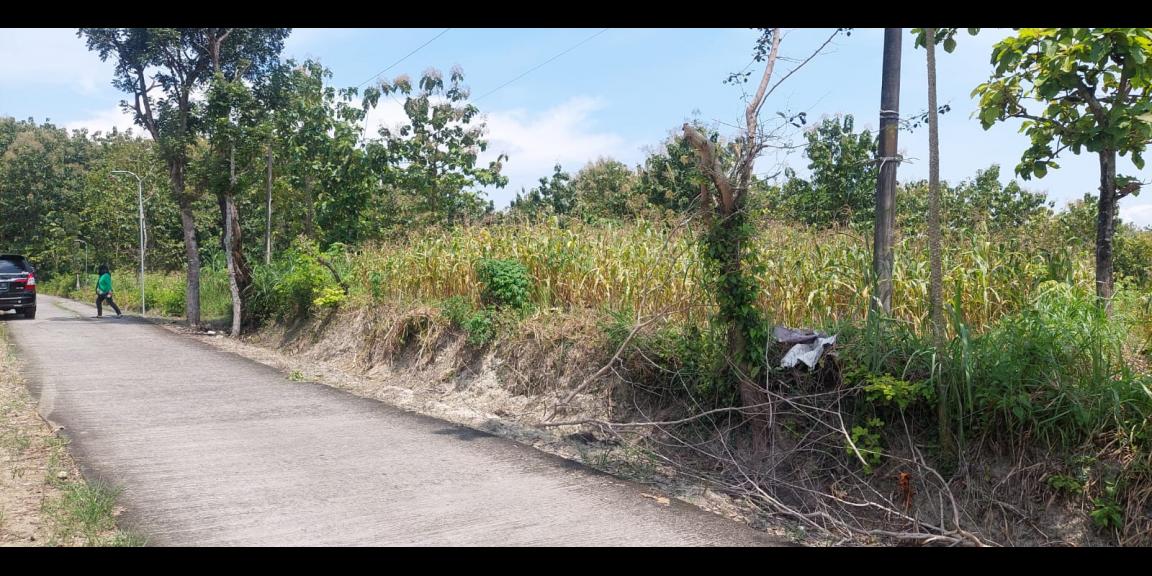 Jual Tanah Datar 8001m 90rb/m Siap Bangun Sragen  Jual Tanah Datar 8001m 90rb/m Siap Bangun Sragen