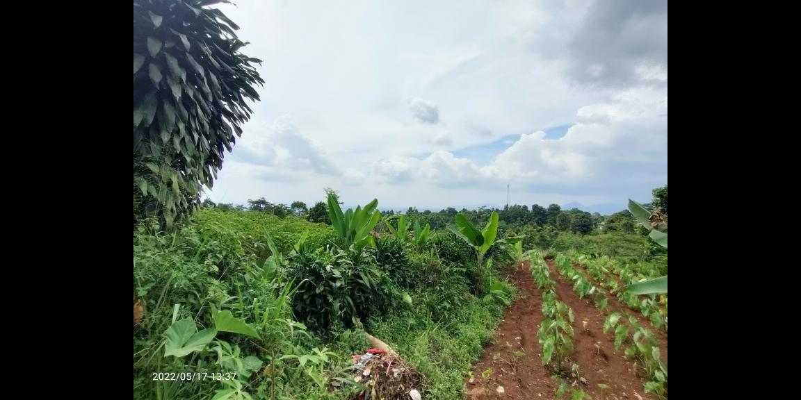 Jual Tanah di dataran tinggi Cijeruk Bogor View Indah Kota Bogor, Sentul dan Gunung Gede Jual Tanah di dataran tinggi Cijeruk Bogor View Indah Kota Bogor, Sentul dan Gunung Gede