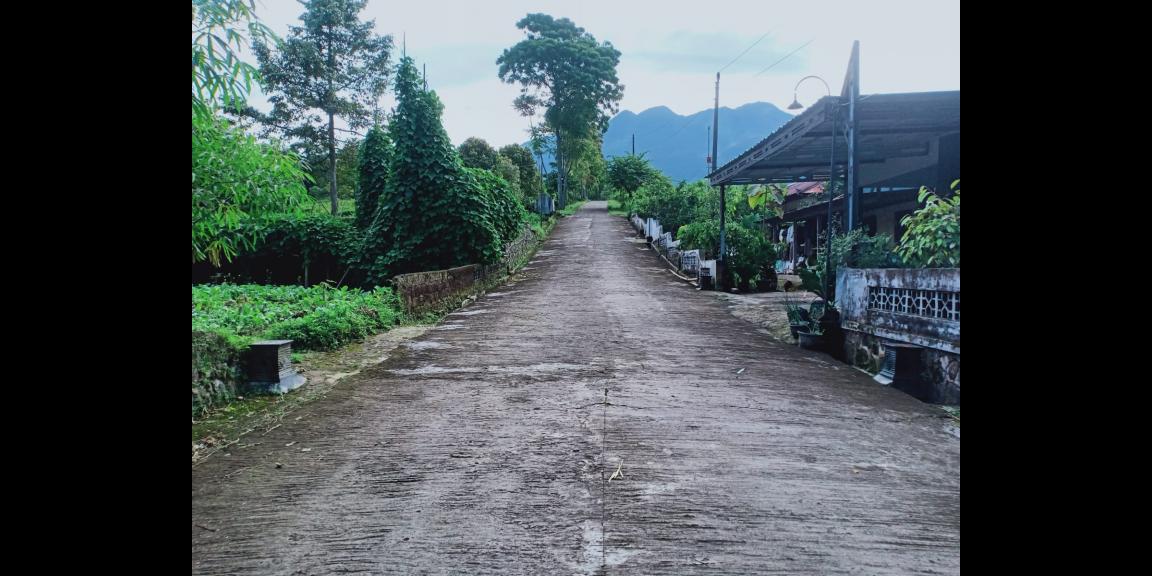 Dijual Tanah View Kebun Teh Kemuning Ngargoyoso Karanganyar Dijual Tanah View Kebun Teh Kemuning Ngargoyoso Karanganyar