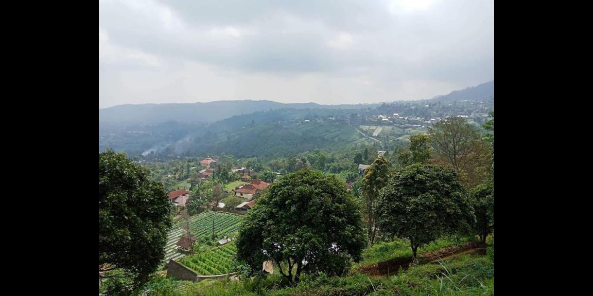 Dijual Tanah Datar Dekat Candi Sukuh Kemuning Karanganyar Dijual Tanah Datar Dekat Candi Sukuh Kemuning Karanganyar