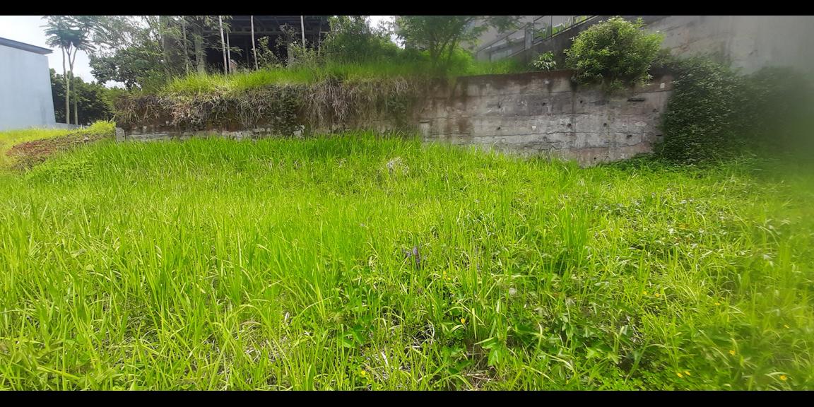 TANAH KAWASAN HUNIAN DI RESORT DAGO PAKAR BANDUNG TANAH KAWASAN HUNIAN DI RESORT DAGO PAKAR BANDUNG