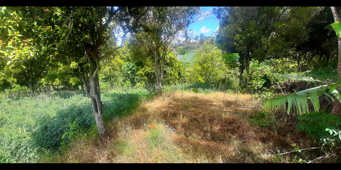 TANAH HUNIAN DAN KOMERSIL DI CIUMBULEUIT BANDUNG TANAH HUNIAN DAN KOMERSIL DI CIUMBULEUIT BANDUNG