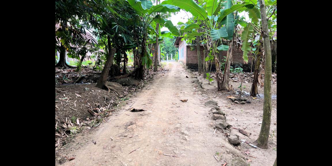 Jual Tanah 45 Juta Kedawung Sragen Jual Tanah 45 Juta Kedawung Sragen