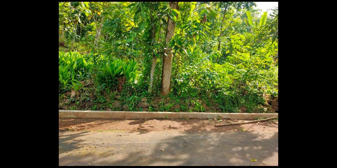 Dijual Tanah Super Datar 1500m² Kerjo Karanganyar Dijual Tanah Super Datar 1500m² Kerjo Karanganyar