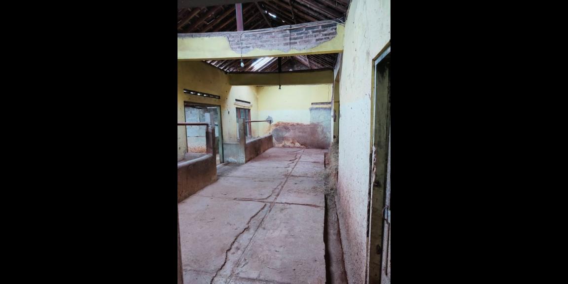 Jual Rumah Gudang 204m² Suroboyo Jirapan Masaran Sragen Jual Rumah Gudang 204m² Suroboyo Jirapan Masaran Sragen