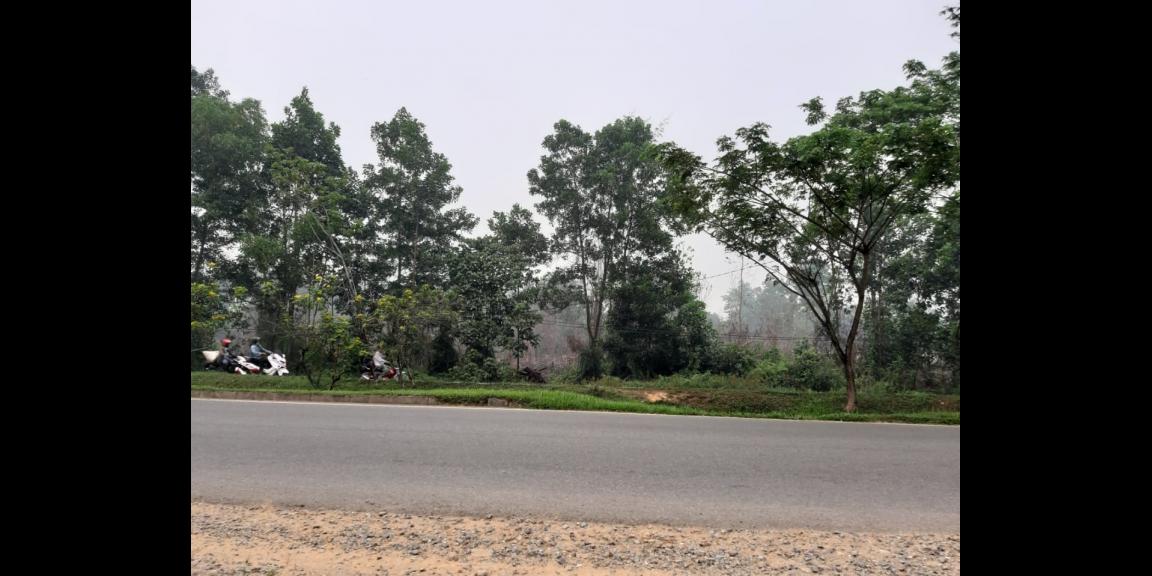 Tanah Ahmad Yani 2, Pontianak, Kalimantan Barat Tanah Ahmad Yani 2, Pontianak, Kalimantan Barat