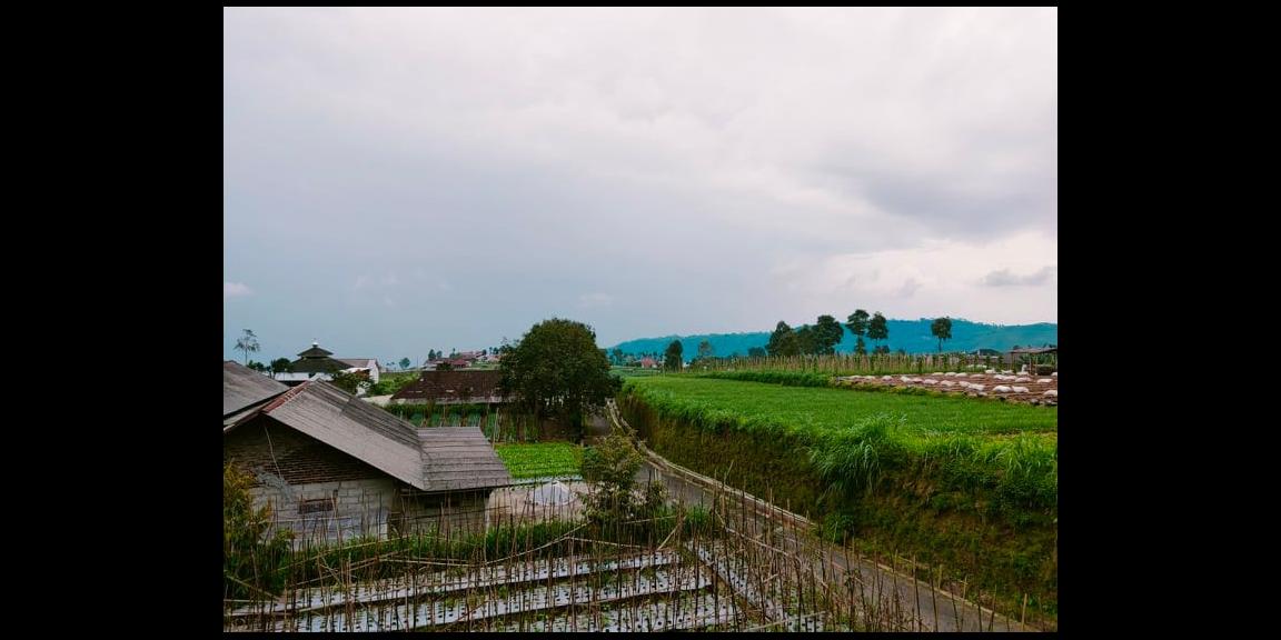 Dijual Tanah 284m² Kemuning Ngargoyoso Karanganyar Dijual Tanah 284m² Kemuning Ngargoyoso Karanganyar