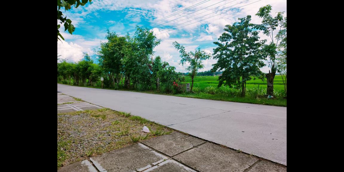 Tanah Strategis Buka Usaha Kedawung Sragen Tanah Strategis Buka Usaha Kedawung Sragen