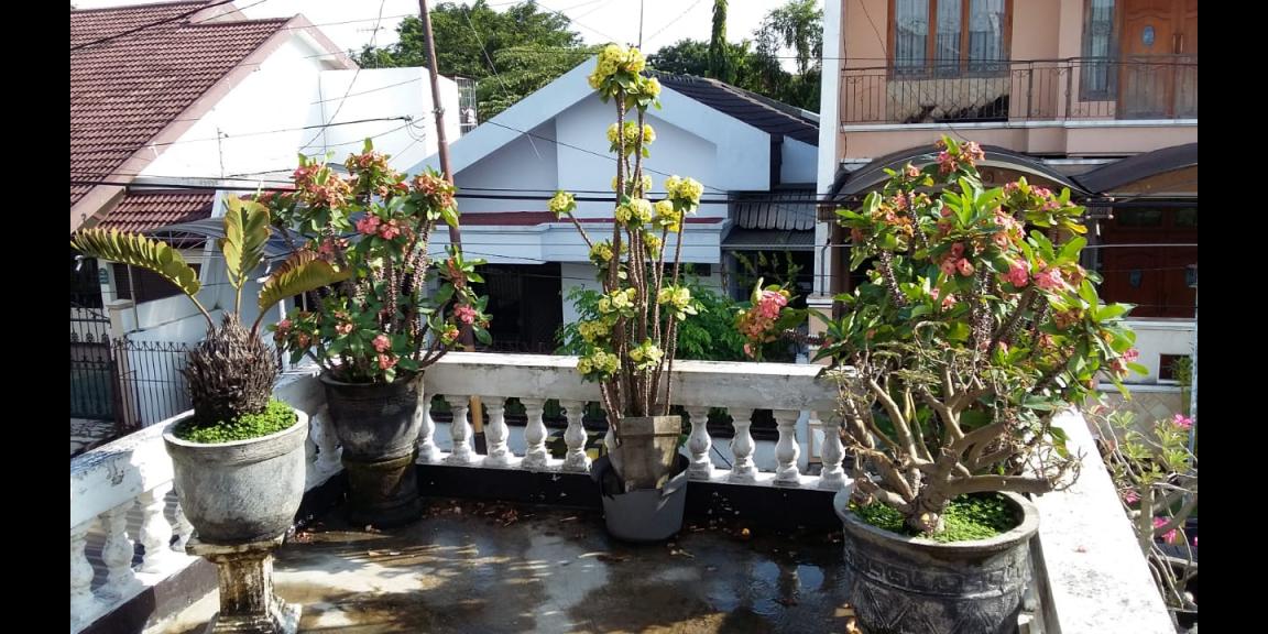 Jual Rumah Bagus Daerah Klampis Harapan Kota Surabaya Jual Rumah Bagus Daerah Klampis Harapan Kota Surabaya